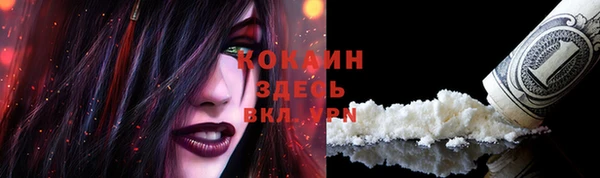 крисы Беломорск